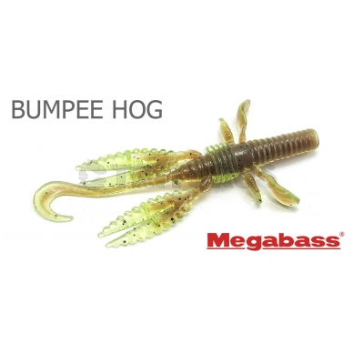 BUMPEE HOG 1