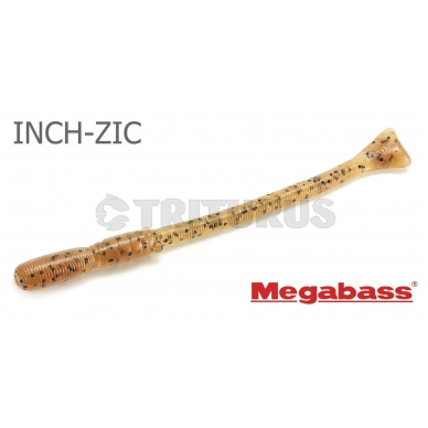 INCH-ZIC 1