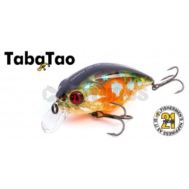 TabaTao 50F-MDR 2