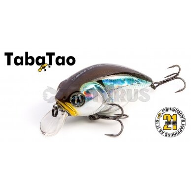 TabaTao 50F-SR 3