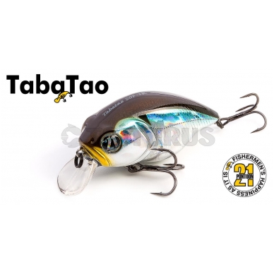 TabaTao 50F-SSR 3