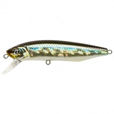 Dexter Minnow 71S-SR 7