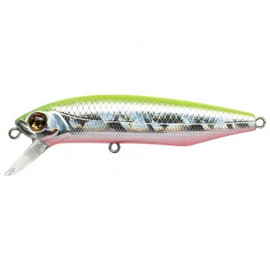 Dexter Minnow 71S-SR 18