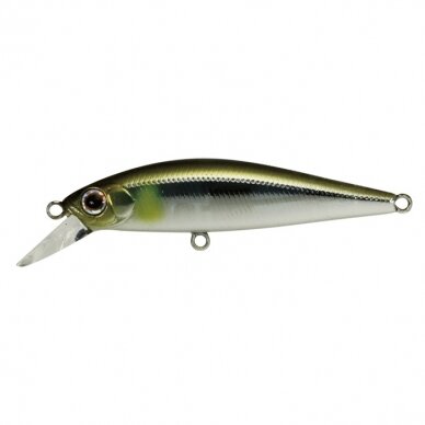 ZipBaits Rigge Flat 60S 7