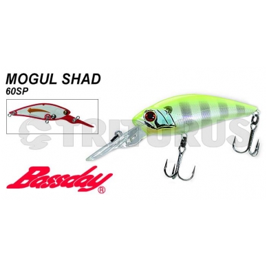 Mogul Shad 60SP 1