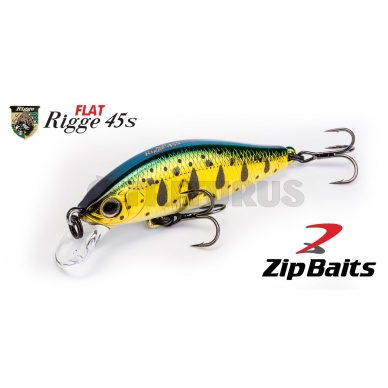 ZipBaits Rigge Flat 45S 2