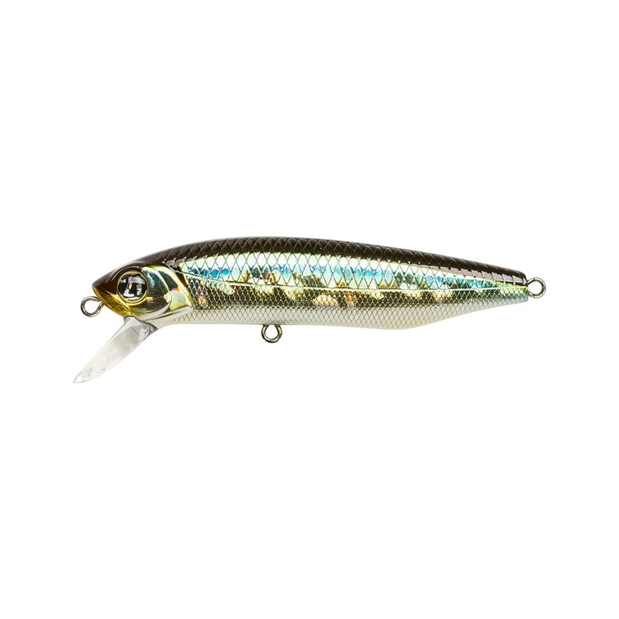 Dexter Minnow 71S-SR