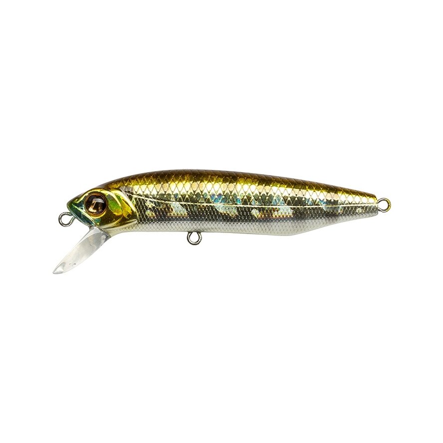 Dexter Minnow 71S-SR