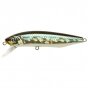 Dexter Minnow 71S-SR