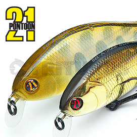 Pontoon21 Bet-A-Shad 63SP 1