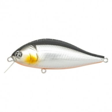 Pontoon21 Bet-A-Shad 63SP 11