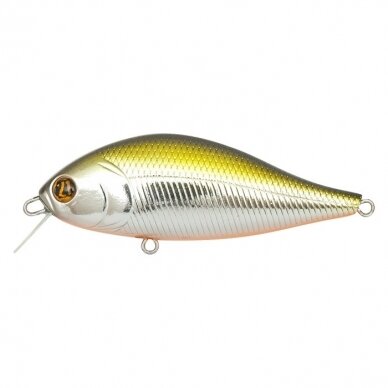 Pontoon21 Bet-A-Shad 63SP 17