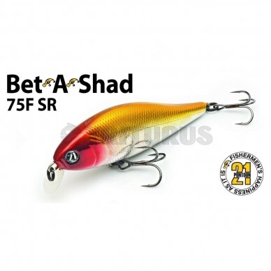 Pontoon21 Bet-A-Shad 75SP 3