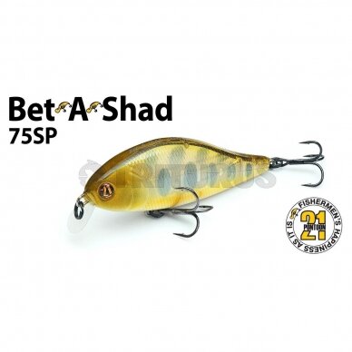 Pontoon21 Bet-A-Shad 75SP 4