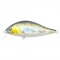 Pontoon21 Bet-A-Shad 63SP