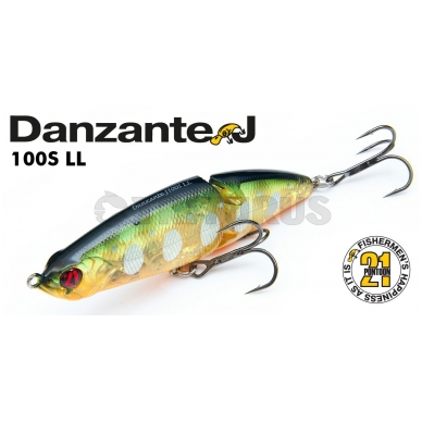 Danzante 100F-SSR 4