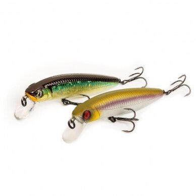 DEXTER MINNOW 93SP-SR 2