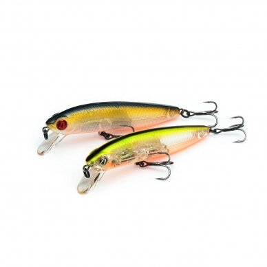 DEXTER MINNOW 93SP-SR