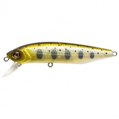 DEXTER MINNOW 93SP-SR 4