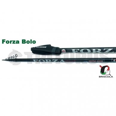 FORZA BOLO