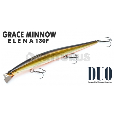 Grace Minnow ELENA 5