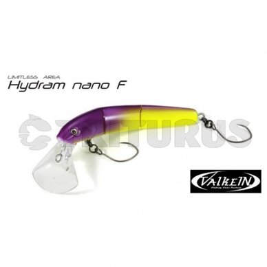 Hydram Nano F 1