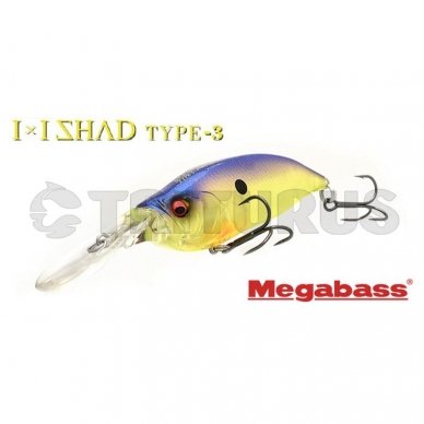 IXI SHAD TYPE-3