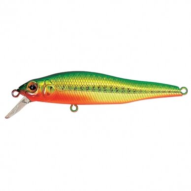 Jerkbait NJ 2