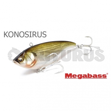 Konosirus 1