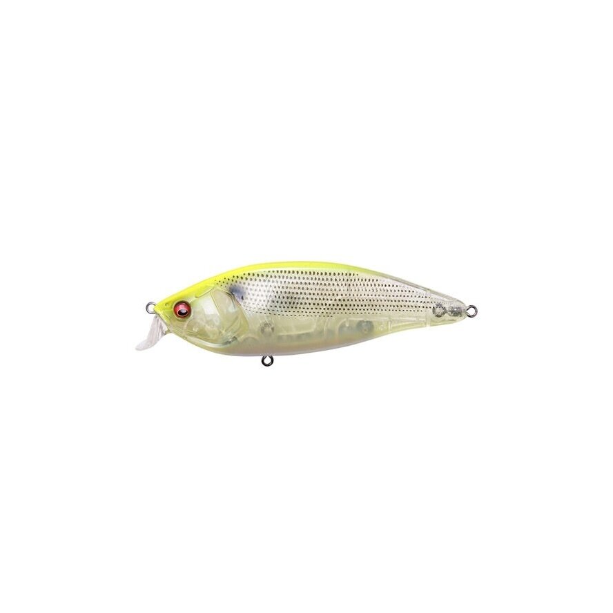 KONOSIRUS SHAD(F)