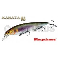 Megabass Kanata