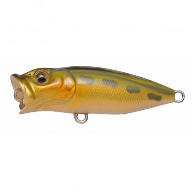 Megabass BABY POP-X 6