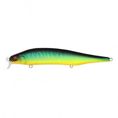 Megabass ITO SHINER SSR 7