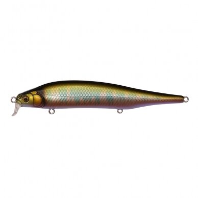 Megabass ITO SHINER SSR 8