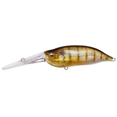 Megabass IXI SHAD TX 13