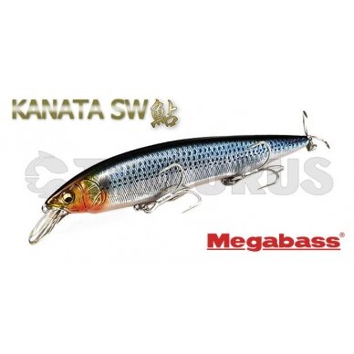 Megabass Kanata 2