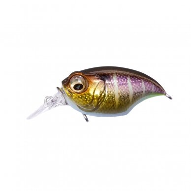 Megabass SR-X GRIFFON 11