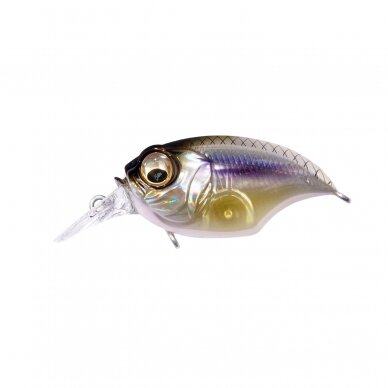 Megabass SR-X GRIFFON 6