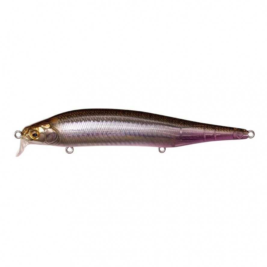 Megabass ITO SHINER SSR