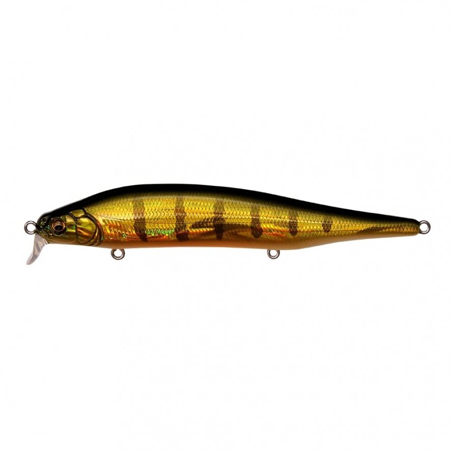 Megabass ITO SHINER SSR