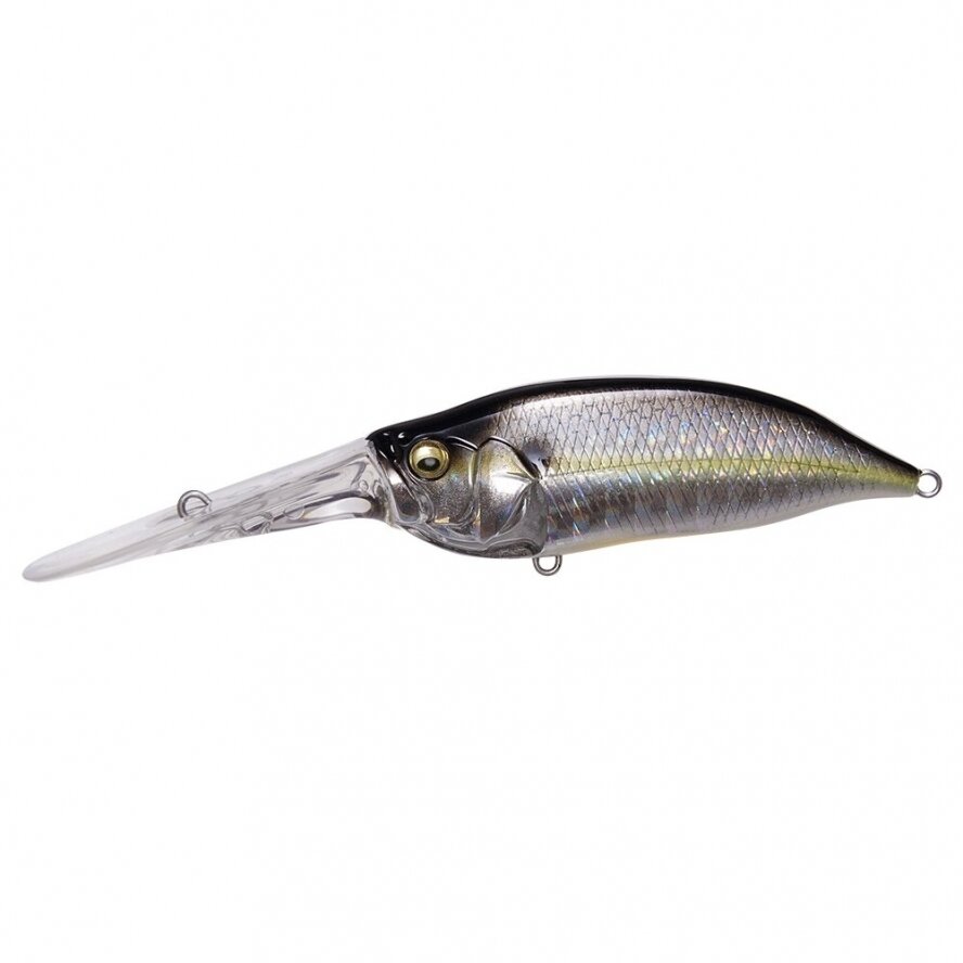 Megabass IXI SHAD TX