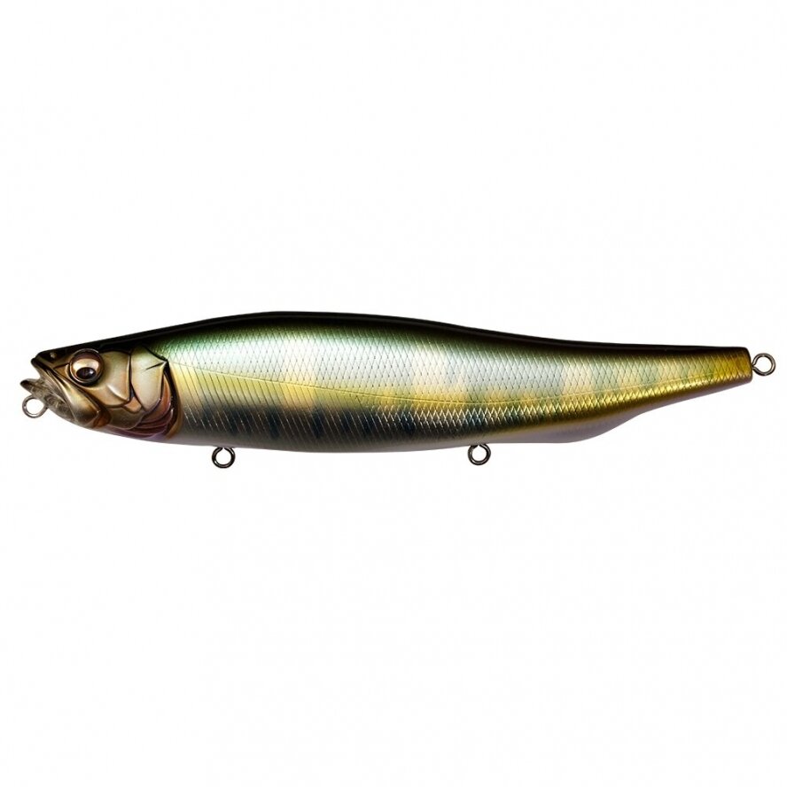 Megabass MEGADOG-X