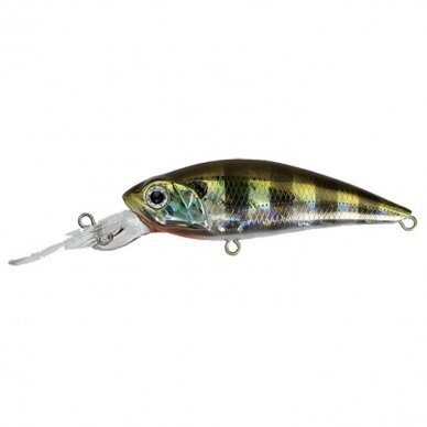 Mogul Shad 60SP 4