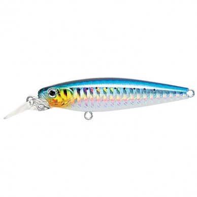 Range Minnow II 70S 3