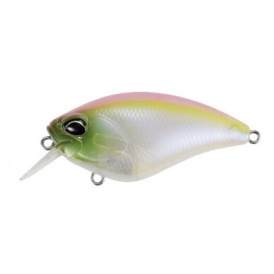 REALIS APEX CRANK 66 SQUARED 2