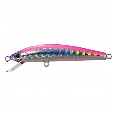 Sugar Minnow 50 2