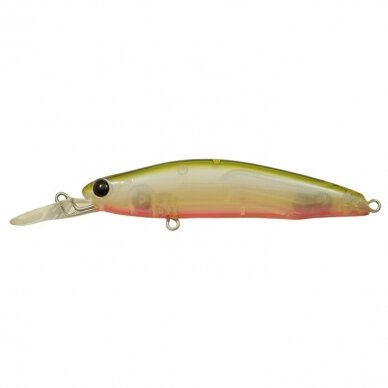 SUGAR MINNOW STREAM 3