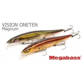 Vision ONETEN Magnum