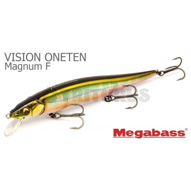 Vision ONETEN Magnum 3