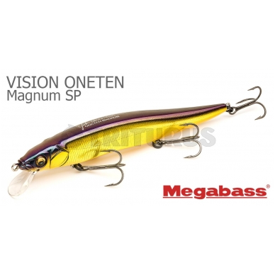 Vision ONETEN Magnum 4